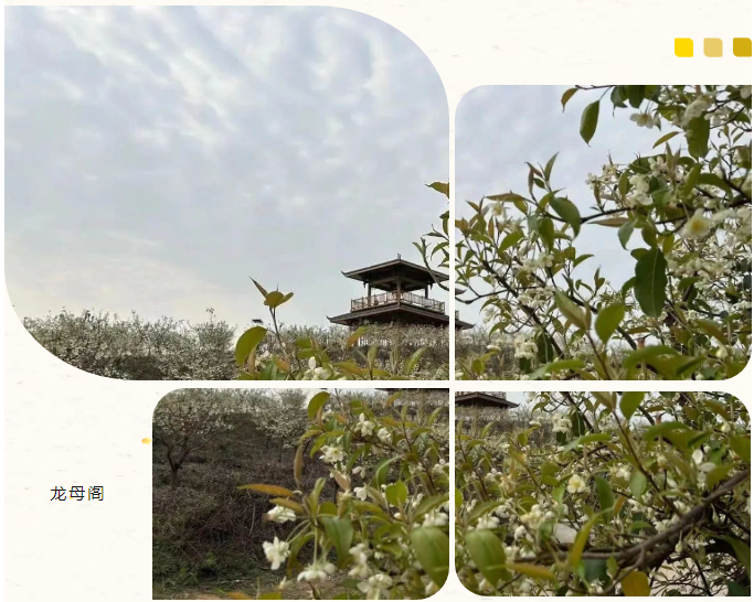 luck18xinli(中国区)-官方网站