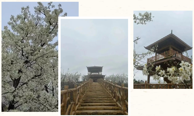 luck18xinli(中国区)-官方网站