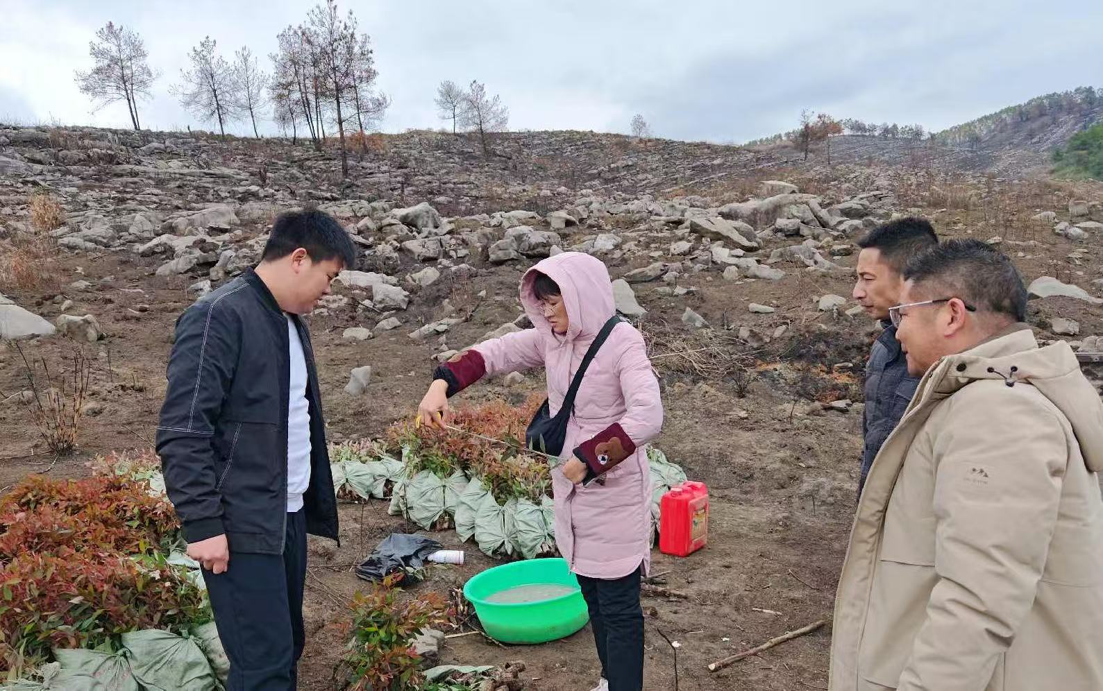 廖长琨到鹿晟公司莲花水库林地领导春季造林工作