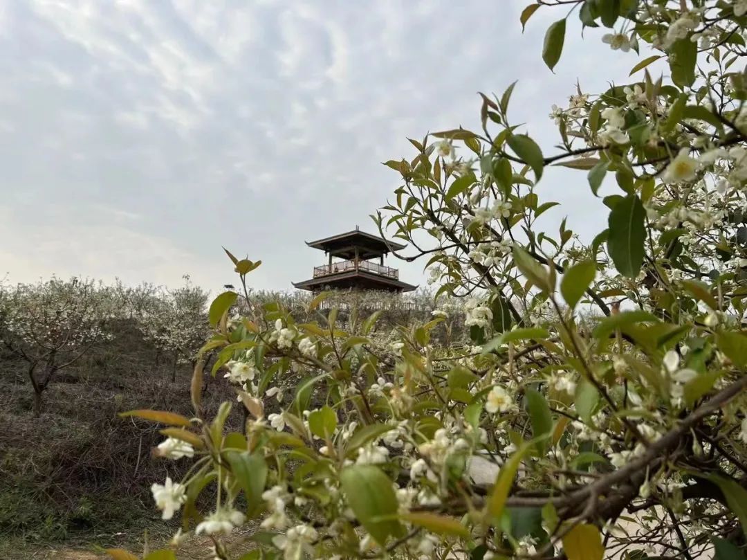 luck18xinli(中国区)-官方网站