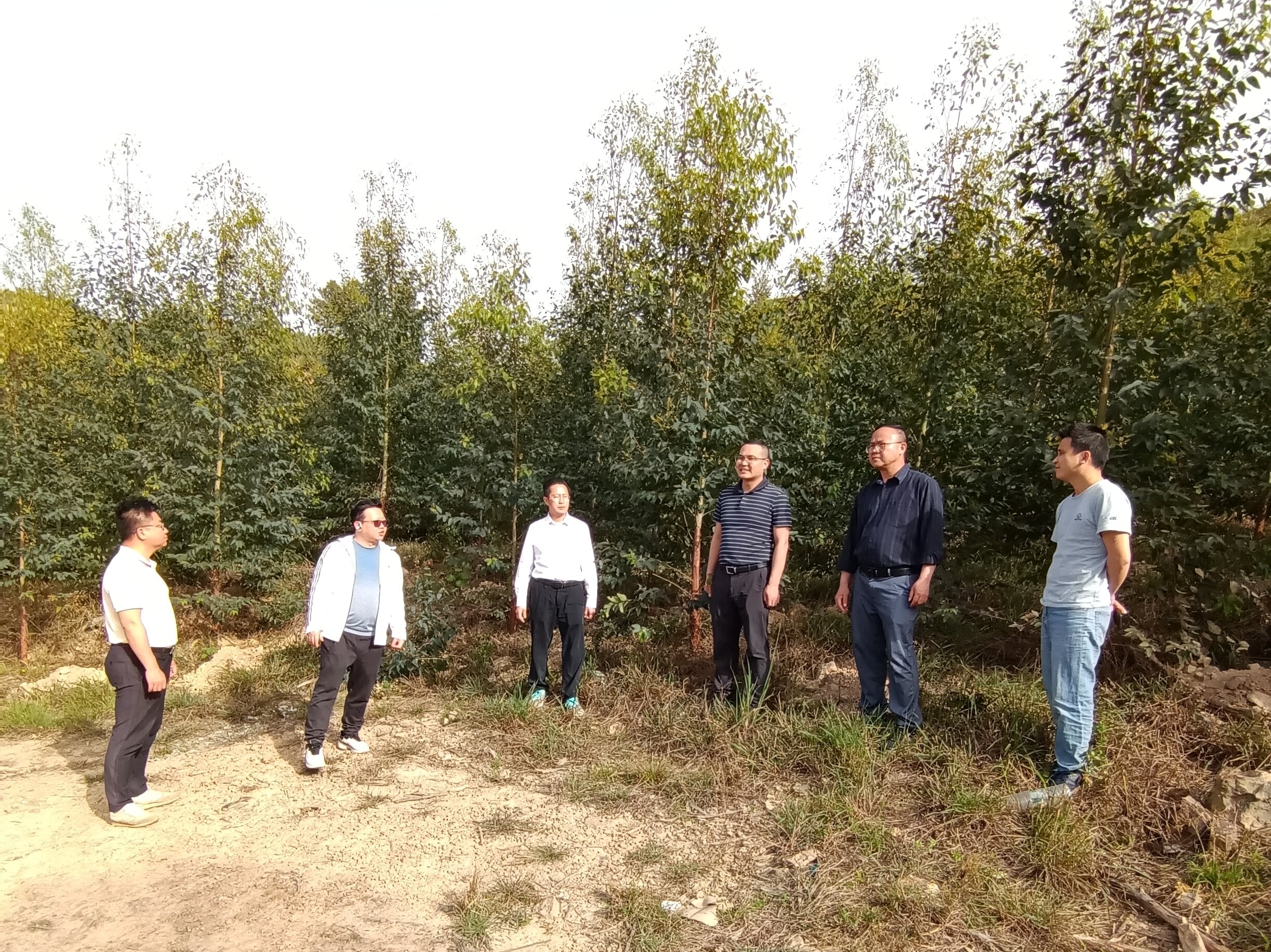 三门江林场副场长肖崇福、副场长尹华山一行到luck18xinli集团林地查抄领导工作