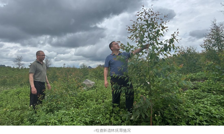 luck18xinli(中国区)-官方网站