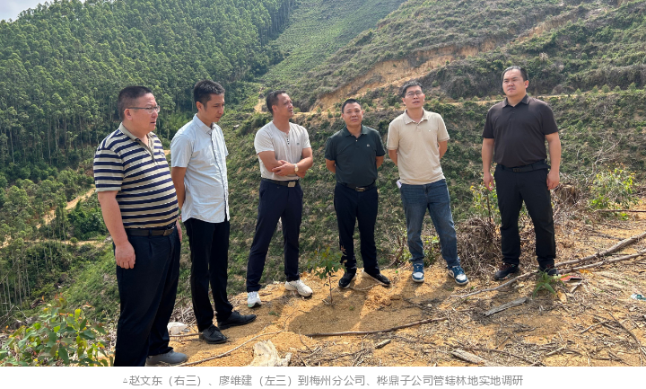 luck18xinli(中国区)-官方网站