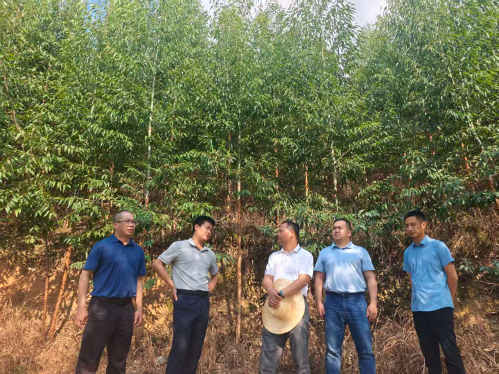 luck18xinli(中国区)-官方网站