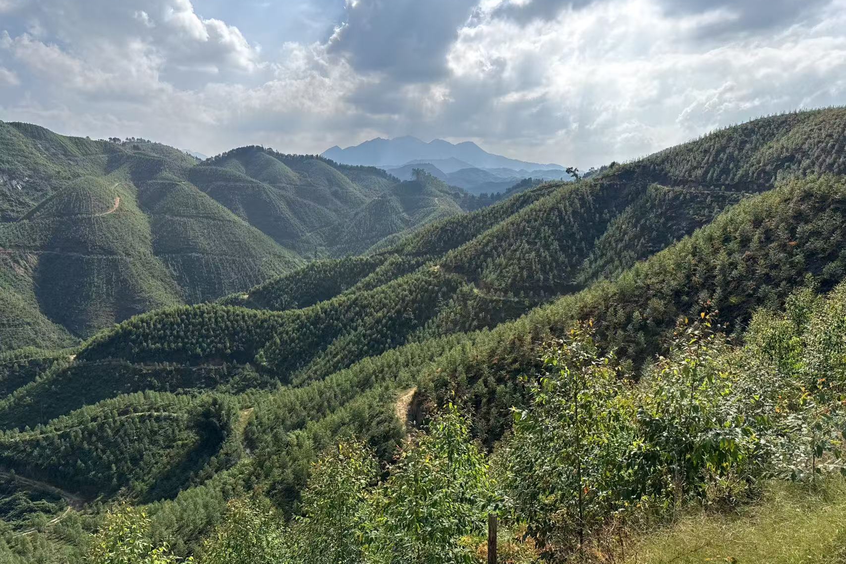 luck18xinli(中国区)-官方网站