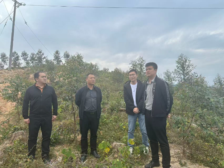 luck18xinli(中国区)-官方网站