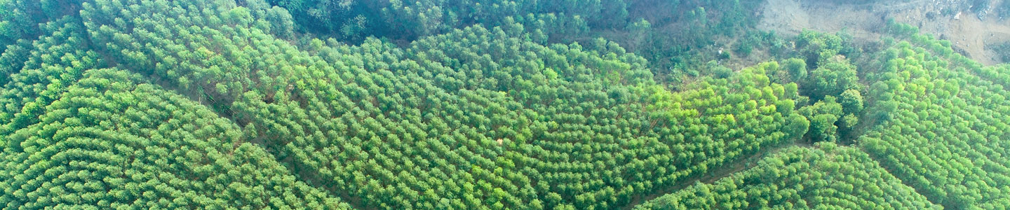 luck18xinli(中国区)-官方网站