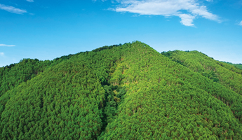 luck18xinli(中国区)-官方网站