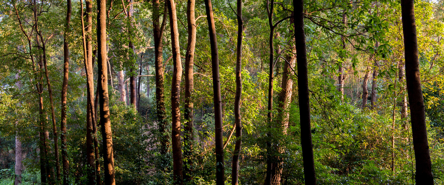 luck18xinli(中国区)-官方网站